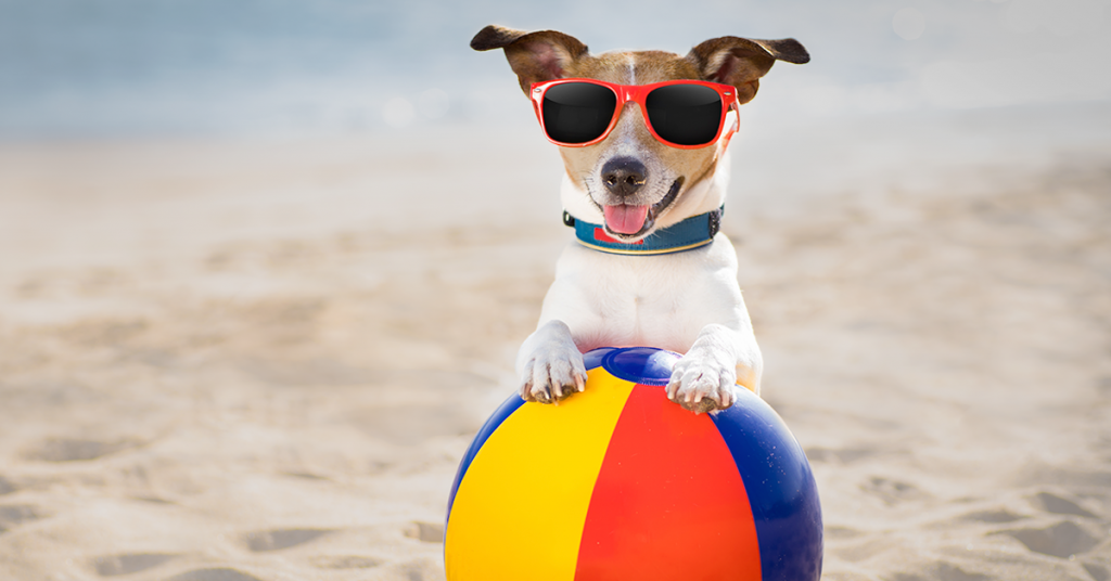 Blog june mazi mas paralia ton skulo 2