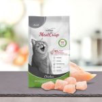 PLATINUM Meatcrisp Adult Chicken Αποξηραμένη Ξηρά Τροφή για Ενήλικες Γάτες με 83% Φρέσκο Κοτόπουλο - Image 4