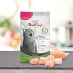 PLATINUM Meatcrisp Sterilised Chicken Αποξηραμένη Ξηρά Τροφή για Στειρωμένες Γάτες με 83% Φρέσκο Κοτόπουλο - Image 6
