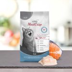 PLATINUM Meatcrisp Adult Fish Αποξηραμένη Ξηρά Τροφή για Ενήλικες Γάτες με 82% Φρέσκο Ψάρι - Image 5