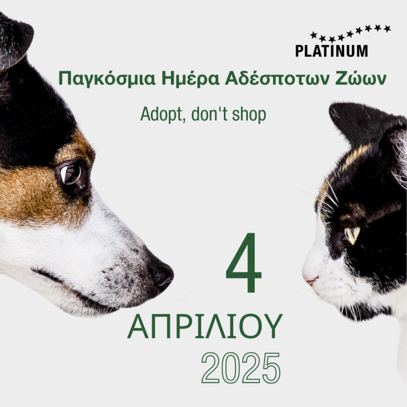 Παγκόσμια Ημέρα Αδέσποτων Ζώων 2