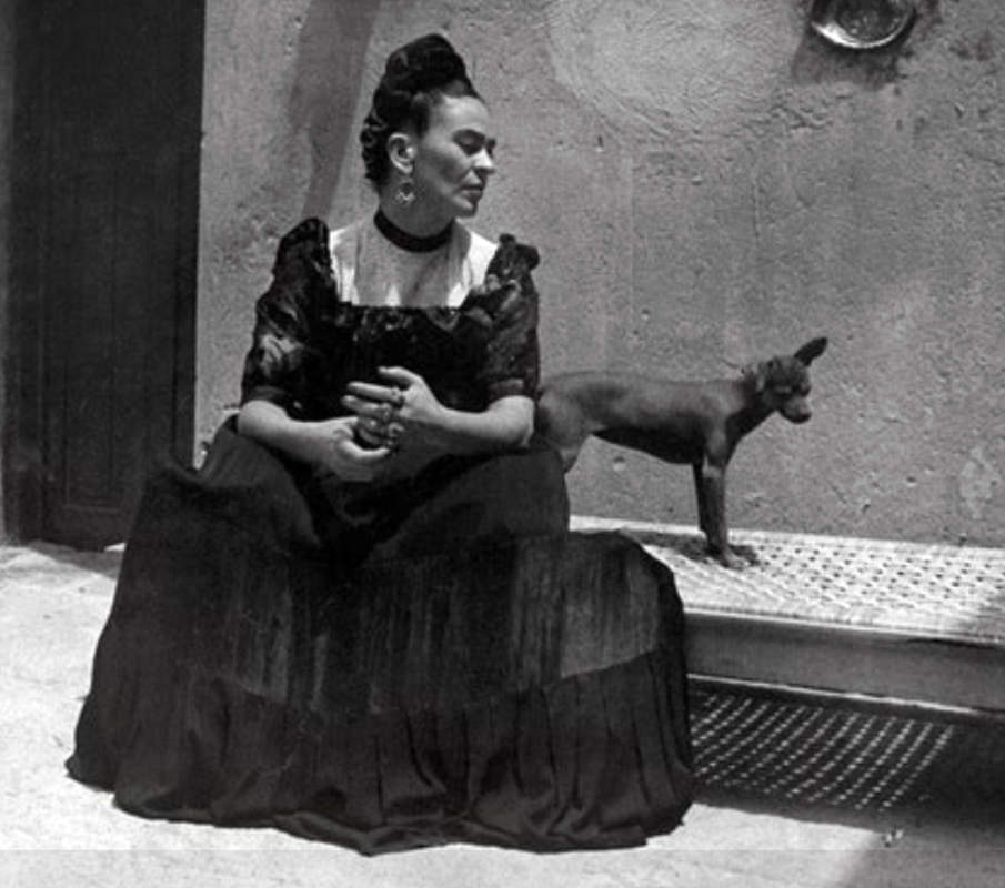 Xoloitzcuintli Frida Kahlo